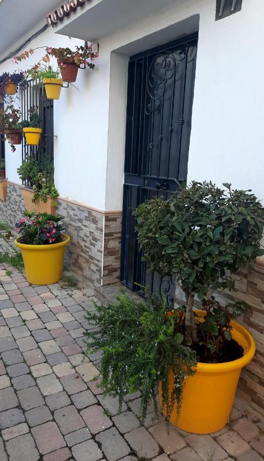 Apartamento En Casco Historico Estepona Kültér fotó